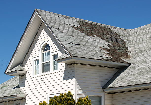 roof shingles in orlando
